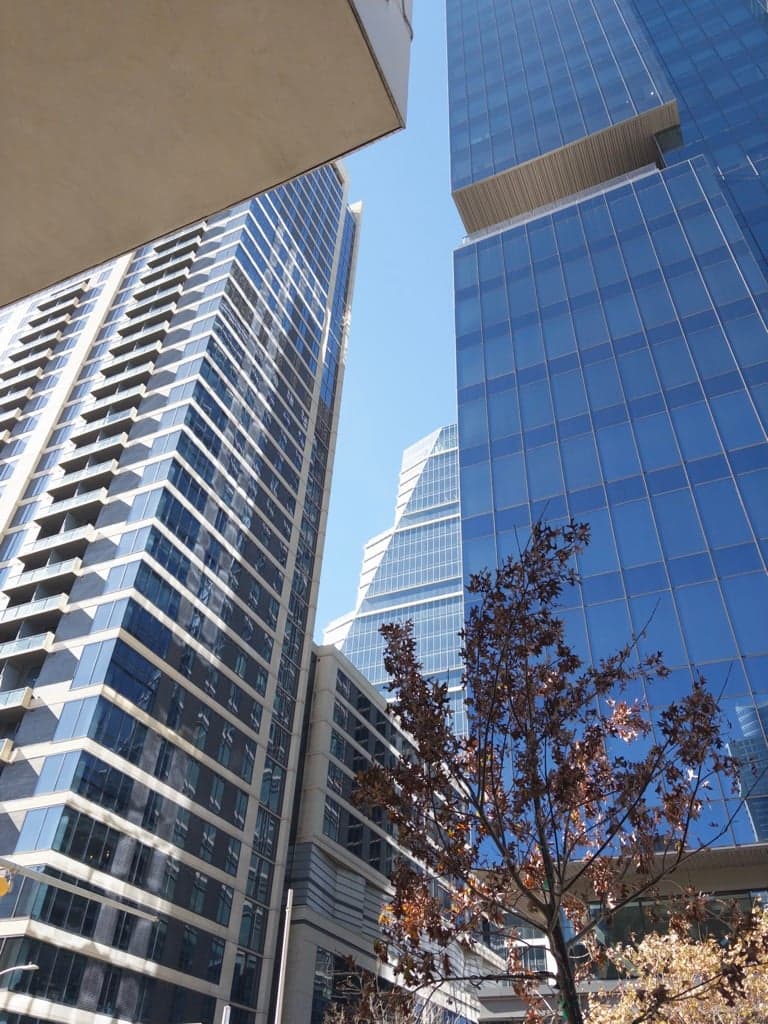 the view from waiting outside local cafe