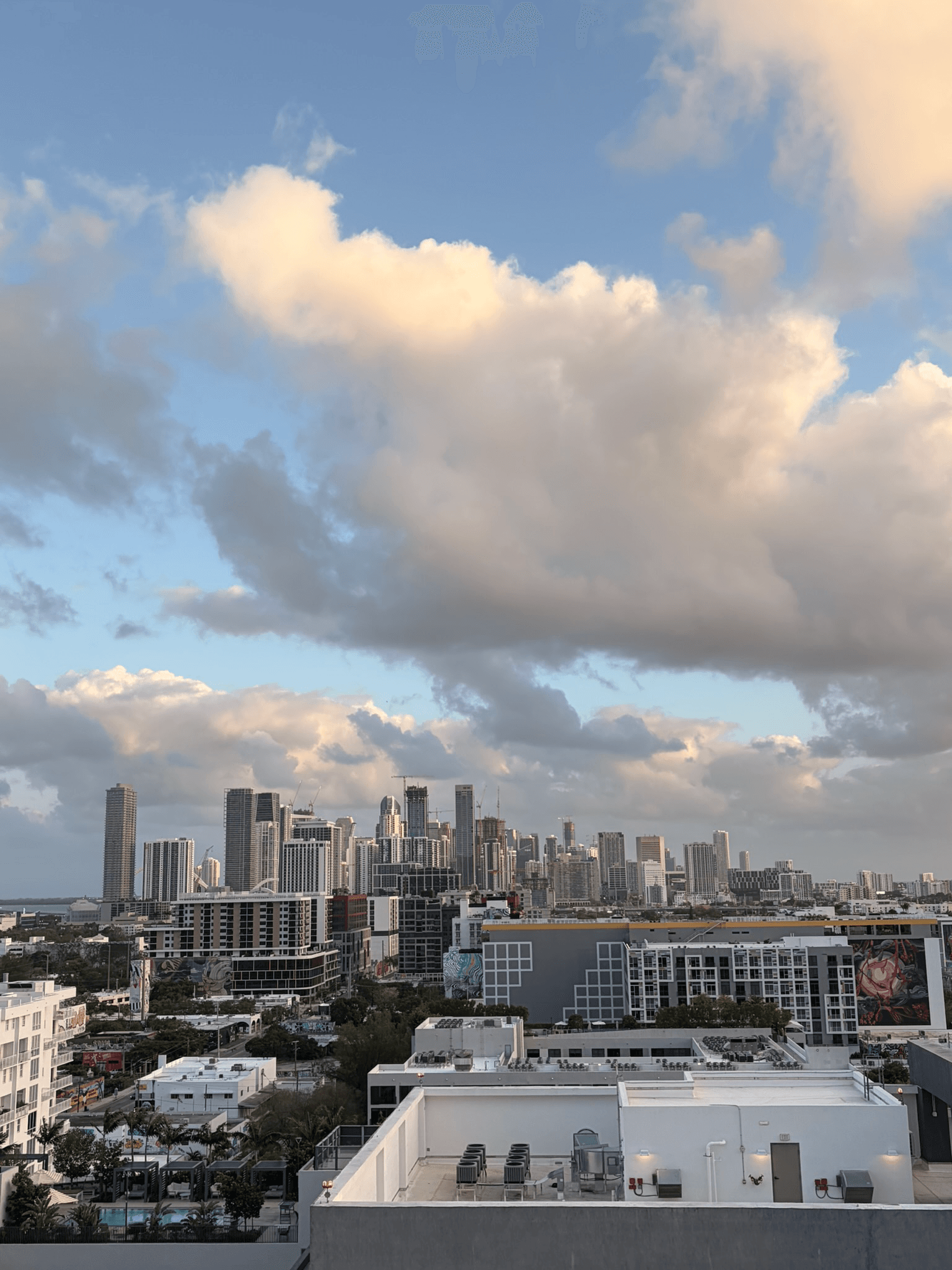 miami.png