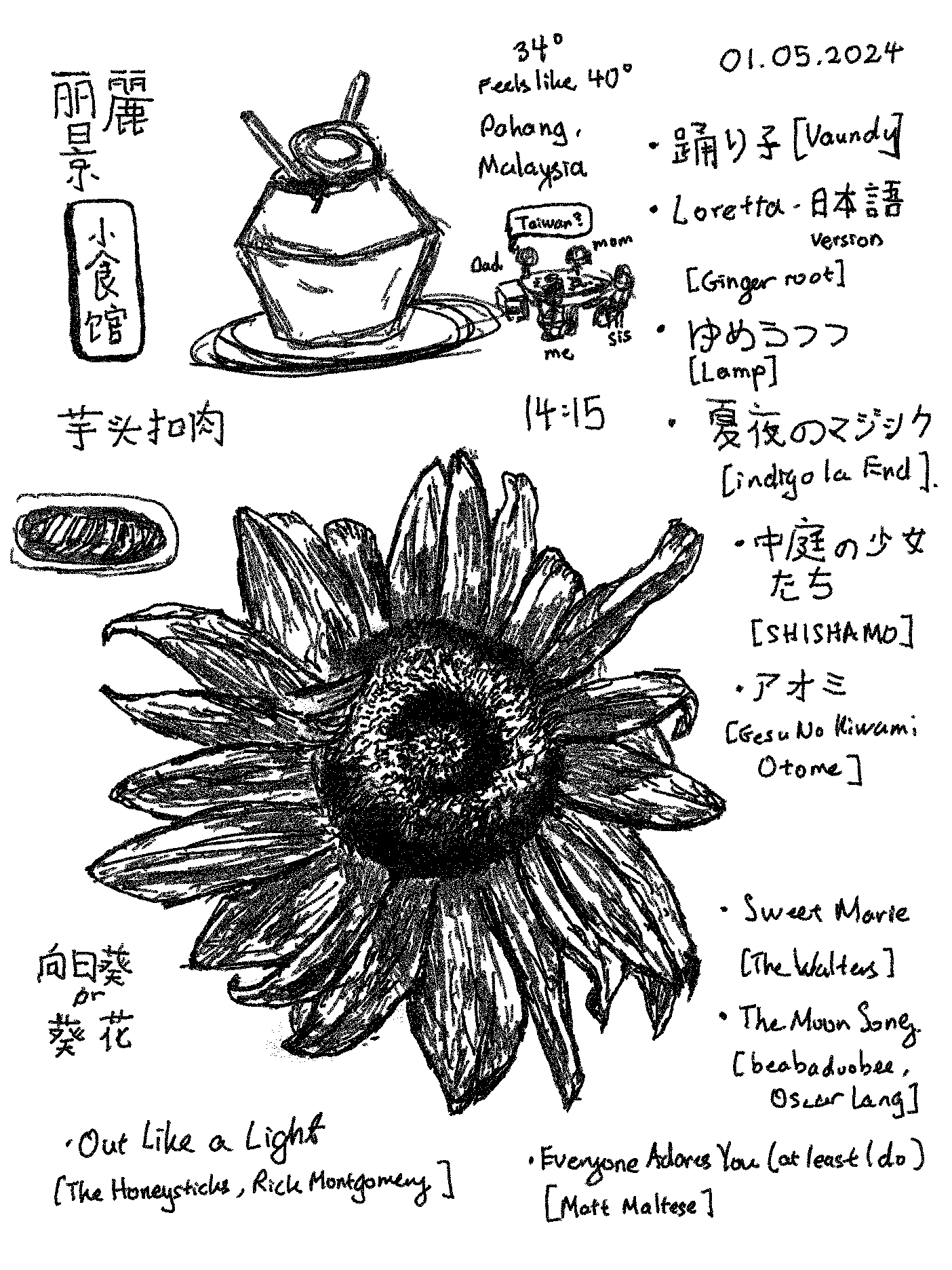 /images/sunflowersketch.png