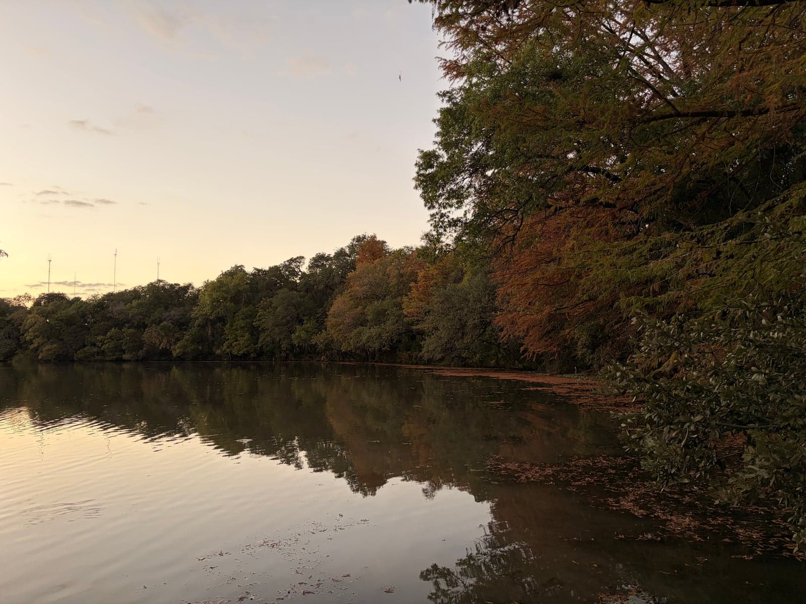 a lake in mayfield park trail
